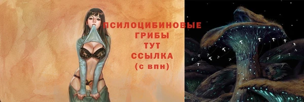 ECSTASY Волосово