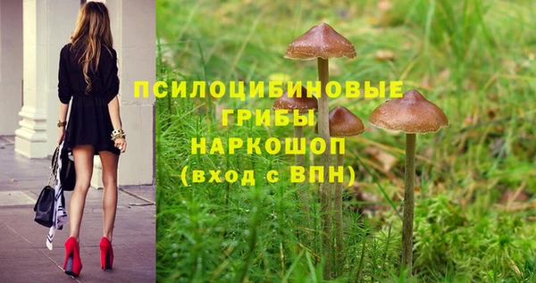 каннабис Верея