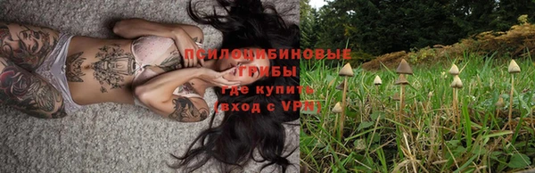 тгк Верхний Тагил