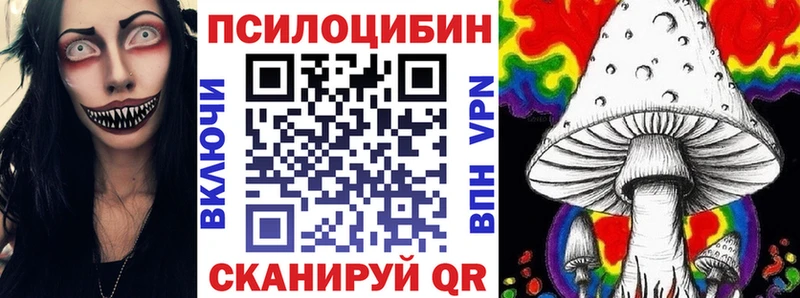 где продают наркотики  Завитинск  Псилоцибиновые грибы ЛСД 